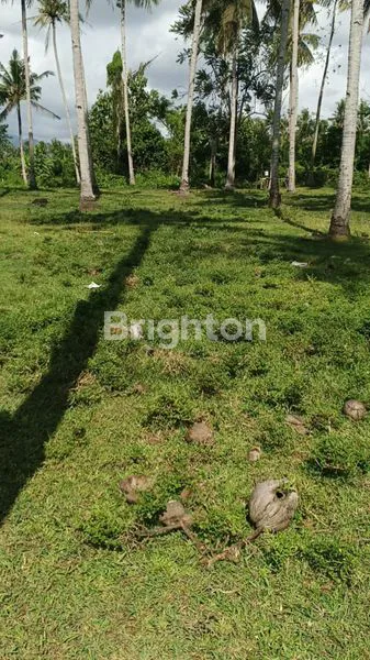 image TANAH DIJUAL LUAS 25.950 M2 DI JALAN UTAMA  DENPASAR GILIMANUK KALIAKAH JEMBRANA BALI  (4)