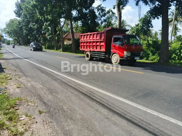 image TANAH DIJUAL SELUAS 17.250 M2 DI JALAN UTAMA DENPASAR GILIMANUK JEMBRANA BALI  (2)