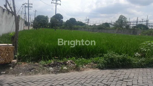 image TANAH LUAS 527M² DI PAYA GELI, DEKAT FASILITAS (3)