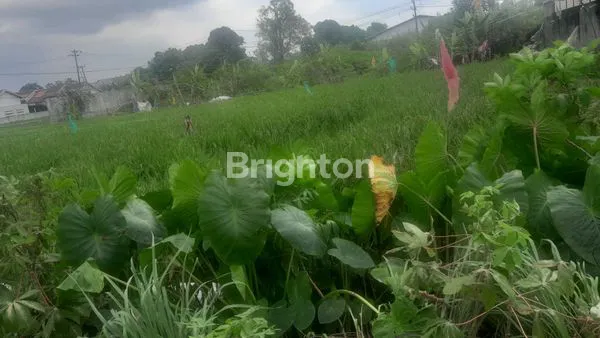 image TANAH LUAS 527M² DI PAYA GELI, DEKAT FASILITAS (4)