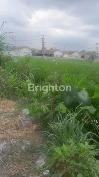 image TANAH LUAS 527M² DI PAYA GELI, DEKAT FASILITAS (5)