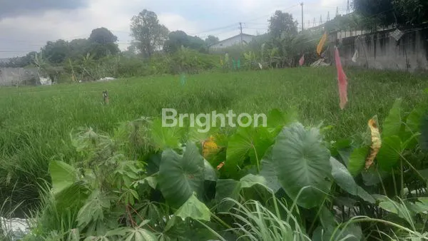 image TANAH LUAS 527M² DI PAYA GELI, DEKAT FASILITAS (8)