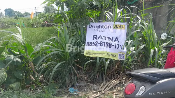 image TANAH LUAS 527M² DI PAYA GELI, DEKAT FASILITAS (1)