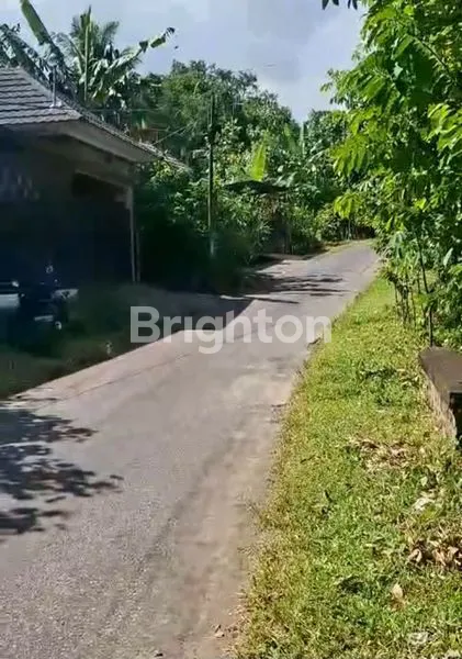 image TANAH 8,6 ARE DI PINGGIR SUNGAI KARANGASEM, VIEW INDAH (1)