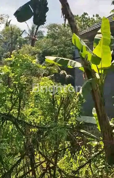 image TANAH 8,6 ARE DI PINGGIR SUNGAI KARANGASEM, VIEW INDAH (4)