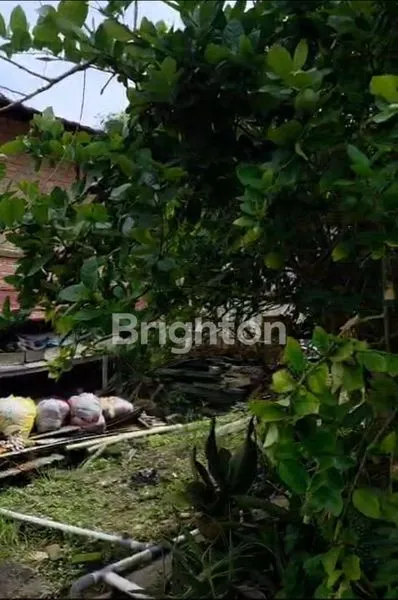 image TANAH DATAR SIAP BANGUN  (3)