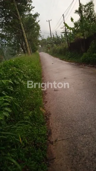 image TANAH KOSONG PUNCAK JAIDI (6)