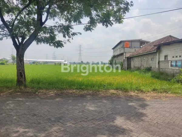 image SAWAH DI JUAL (1)