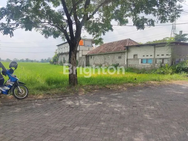 image SAWAH DI JUAL (2)