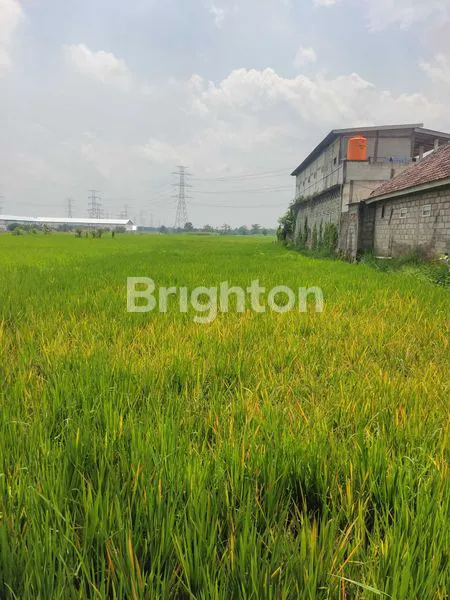 image SAWAH DI JUAL (4)