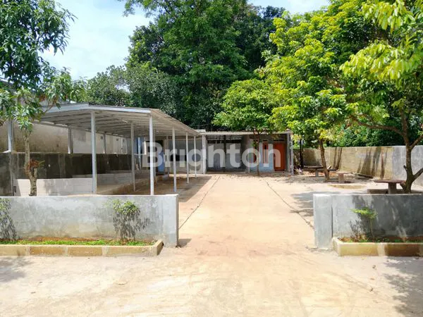 LAHAN LUAS 500M², COCOK UNTUK CAFE DI BOGOR