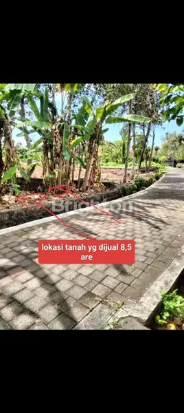 image LAHAN PREMIUM TANAH LOT, AKSES MUDAH & ZONA PARIWISATA (1)