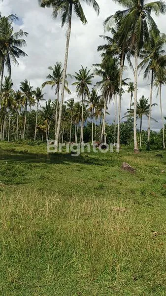 image TANAH DIJUAL LUAS 34.650 M2 DI JALAN UTAMA  DENPASAR GILIMANUK KALIAKAH JEMBRANA BALI  (7)