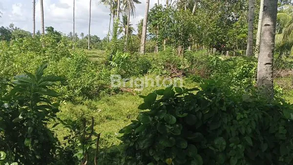 image TANAH DIJUAL LUAS 34.650 M2 DI JALAN UTAMA  DENPASAR GILIMANUK KALIAKAH JEMBRANA BALI  (5)