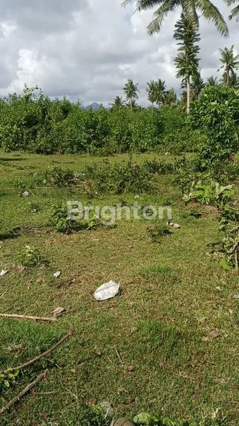 image TANAH DIJUAL LUAS 34.650 M2 DI JALAN UTAMA  DENPASAR GILIMANUK KALIAKAH JEMBRANA BALI  (3)