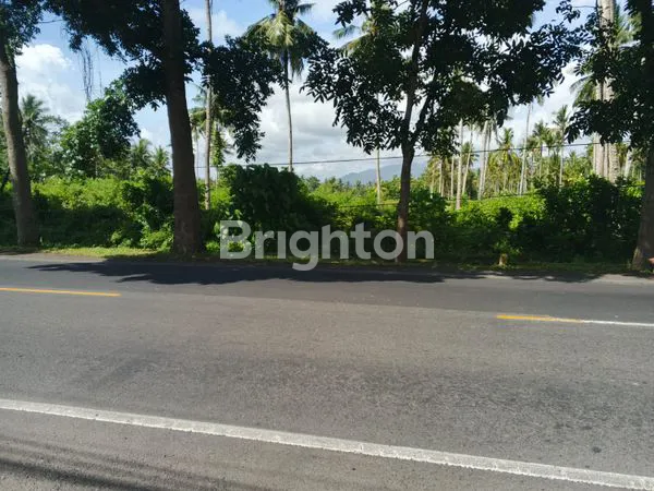 image TANAH DIJUAL LUAS 34.650 M2 DI JALAN UTAMA  DENPASAR GILIMANUK KALIAKAH JEMBRANA BALI  (1)