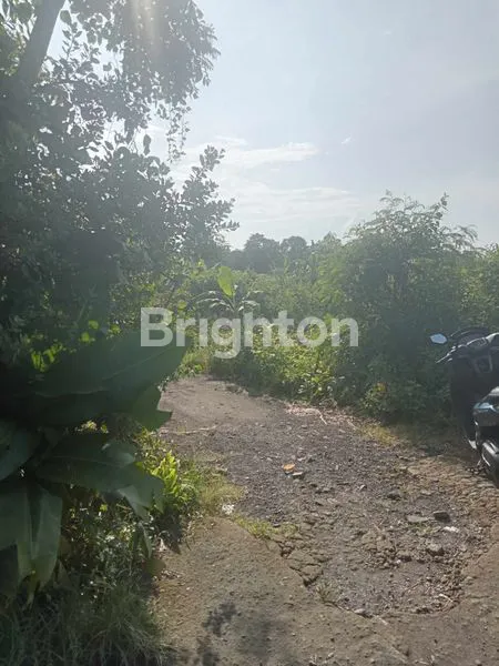 image DIJUAL TANAH MURAH KERAMAS, GIANYAR BALI (2)