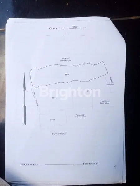 image DIJUAL TANAH SAWAH MURAH GIANYAR, BALI  (7)