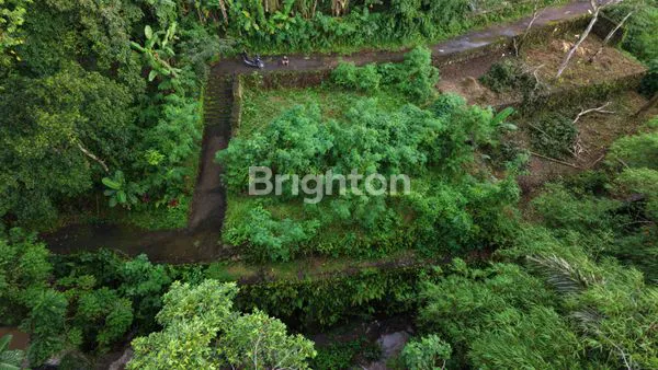 image DIJUAL TANAH KAVLING MURAH PADANG LUWIH,DALUNG BALI (2)