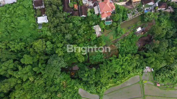 image DIJUAL TANAH KAVLING MURAH PADANG LUWIH,DALUNG BALI (4)