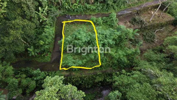 image DIJUAL TANAH KAVLING MURAH PADANG LUWIH,DALUNG BALI (1)
