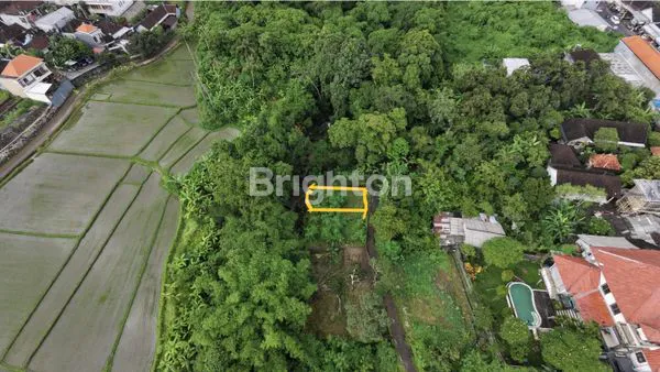 image DIJUAL TANAH KAVLING MURAH PADANG LUWIH,DALUNG BALI (6)