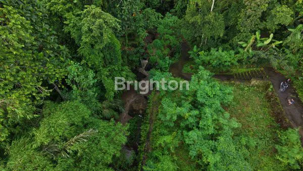 image DIJUAL TANAH KAVLING MURAH PADANG LUWIH,DALUNG BALI (3)