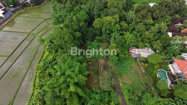 image DIJUAL TANAH KAVLING MURAH PADANG LUWIH,DALUNG BALI (8)