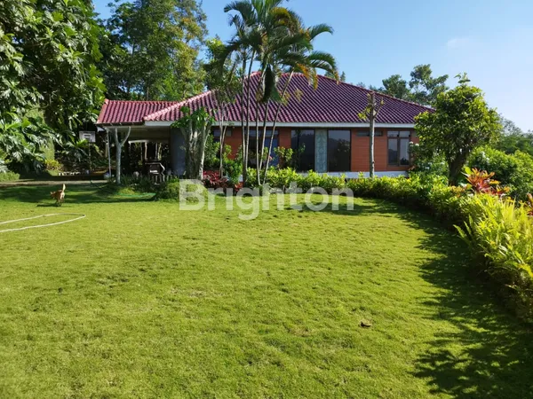 image MILIKI PRIVATE RESORT 1,4 HEKTAR DI TRETES – MATA AIR PRIBADI! (8)