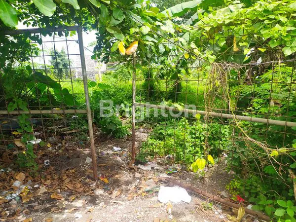 image TANAH STRATEGIS DI GATOT SUBROTO BARAT, DALUNG (6)