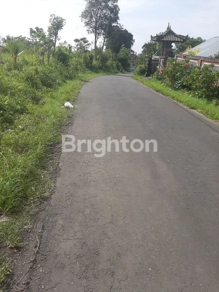 image TANAH LUAS 43 ARE DI KINTAMANI, DEKAT DANAU BATUR (2)