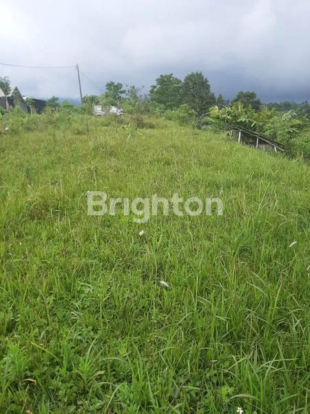 image TANAH LUAS 43 ARE DI KINTAMANI, DEKAT DANAU BATUR (3)