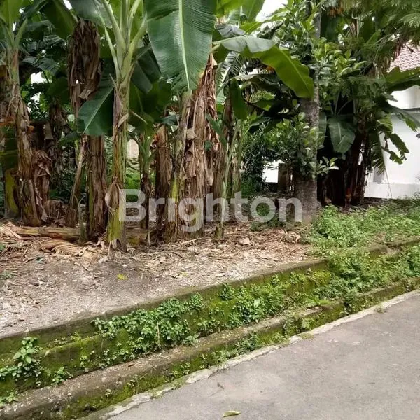 image TANAH SHM 173M² DI PENGGING, STRATEGIS DEKAT ALUN-ALUN (3)