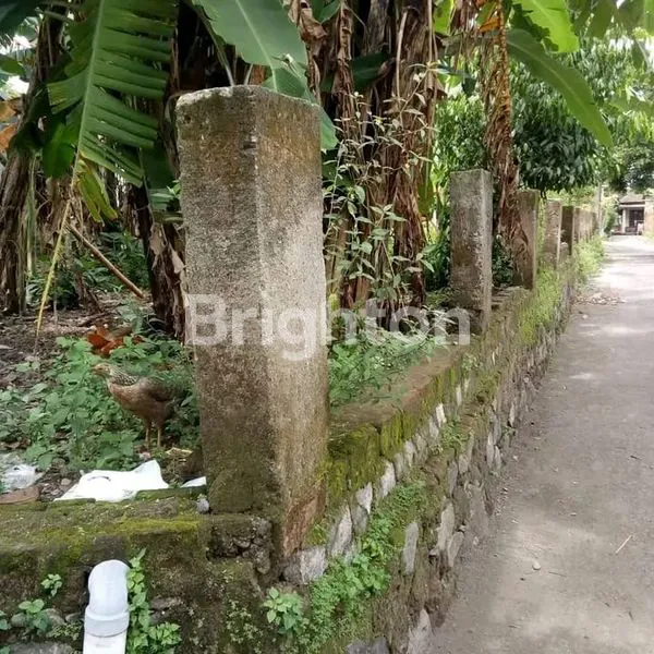 image TANAH SHM 173M² DI PENGGING, STRATEGIS DEKAT ALUN-ALUN (4)