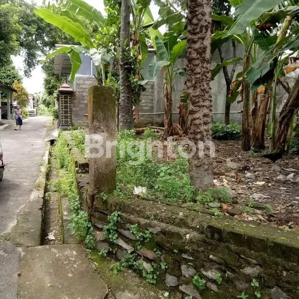 image TANAH SHM 173M² DI PENGGING, STRATEGIS DEKAT ALUN-ALUN (1)