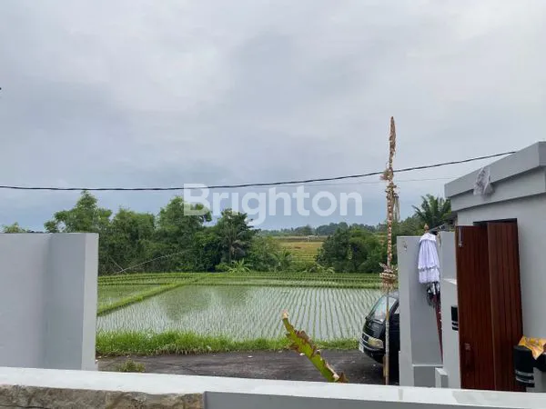 image VILLA CANTIK 1 LANTAI DI YEH GANGGA (8)