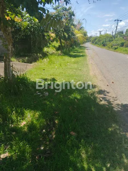 image TANAH DIJUAL BONUS BANGUNAN DIATASNYA LUAS 3.460 M2 DI LOKASI TEGAL BADENG BARAT JEMBRANA BALI  (2)