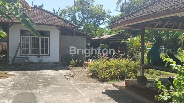 image TANAH DIJUAL BONUS BANGUNAN DIATASNYA LUAS 3.460 M2 DI LOKASI TEGAL BADENG BARAT JEMBRANA BALI  (8)