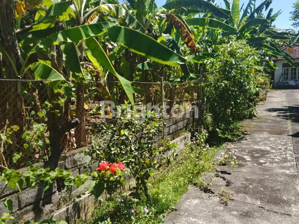 image TANAH DIJUAL BONUS BANGUNAN DIATASNYA LUAS 3.460 M2 DI LOKASI TEGAL BADENG BARAT JEMBRANA BALI  (5)