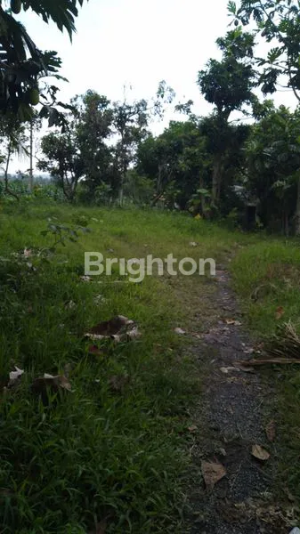 image TANAH LUAS 3.860M² DI EXIT TOL KALIANDA, LAMPUNG (3)