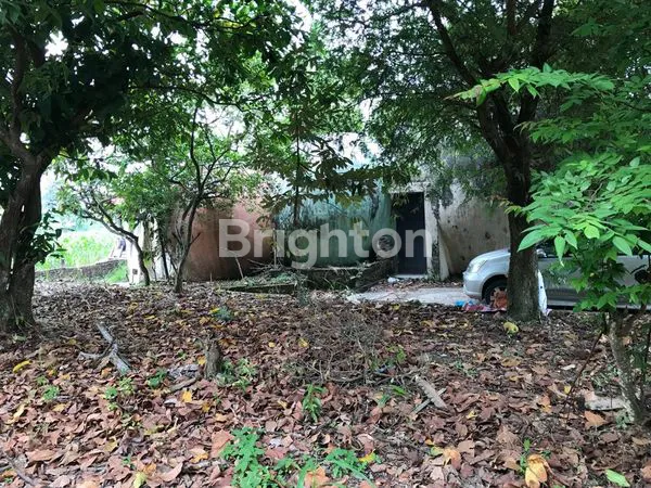 image TANAH LUAS 3.860M² DI EXIT TOL KALIANDA, LAMPUNG (8)