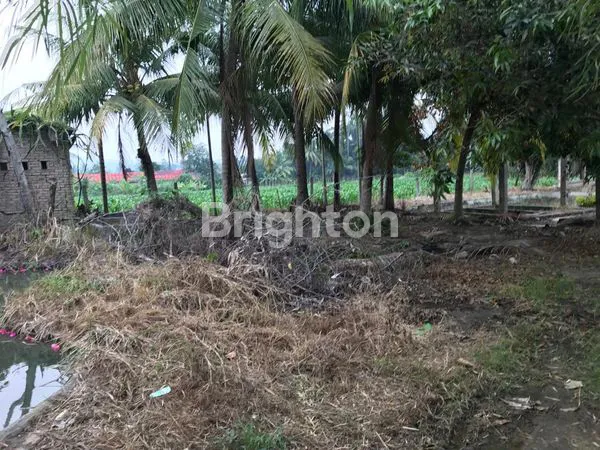 image TANAH LUAS 3.860M² DI EXIT TOL KALIANDA, LAMPUNG (5)