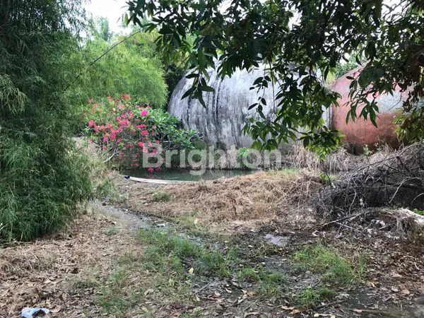 image TANAH LUAS 3.860M² DI EXIT TOL KALIANDA, LAMPUNG (7)