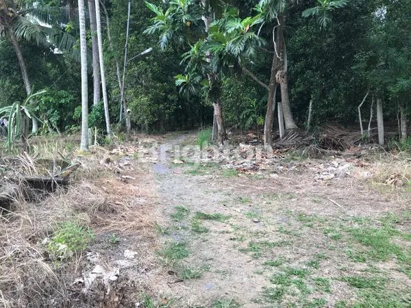 image TANAH LUAS 3.860M² DI EXIT TOL KALIANDA, LAMPUNG (6)