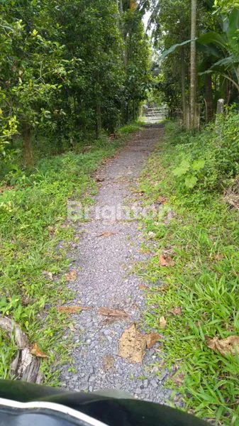 image TANAH LUAS 3.860M² DI EXIT TOL KALIANDA, LAMPUNG (2)