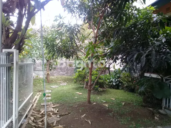 image DIJUAL RUMAH DAERAH GEGERKALONG BANDUNG (4)