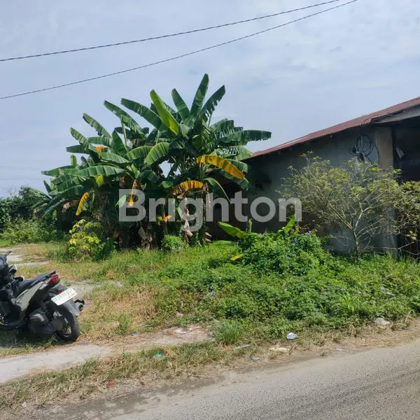 image TANAH DI JL GEREJA - SUNGGAL (8)