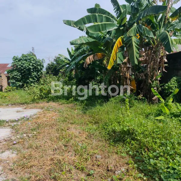 image TANAH DI JL GEREJA - SUNGGAL (4)