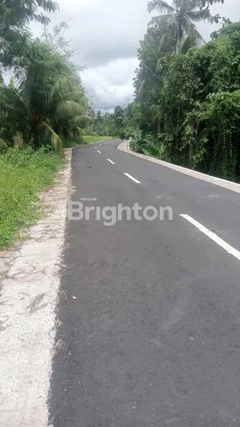 image JUAL TANAH VIEW SAWAH DI KERAMBITAN (3)