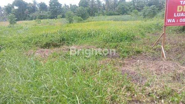 image JUAL TANAH VIEW SAWAH DI KERAMBITAN (2)